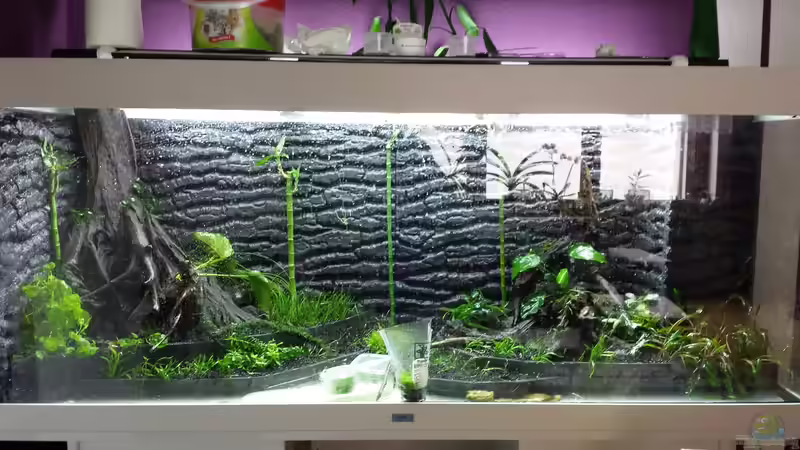 05.09.14 von sonic85 (7)