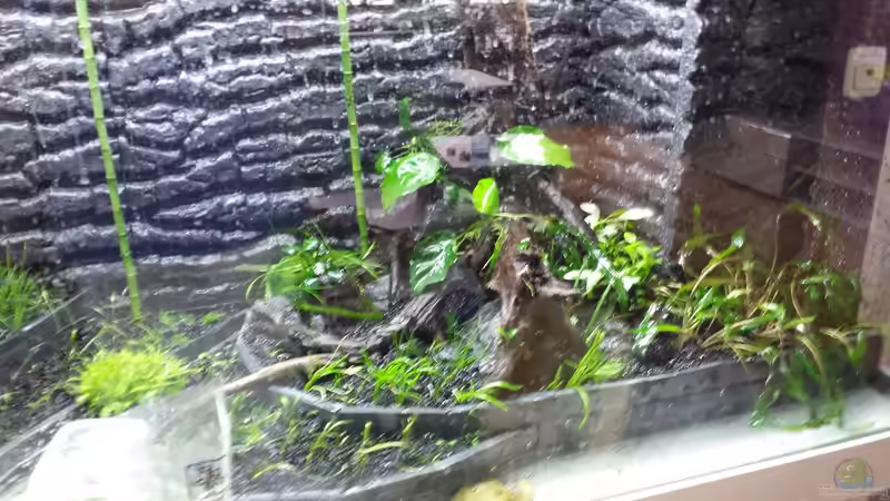 05.09.14 von sonic85 (9)