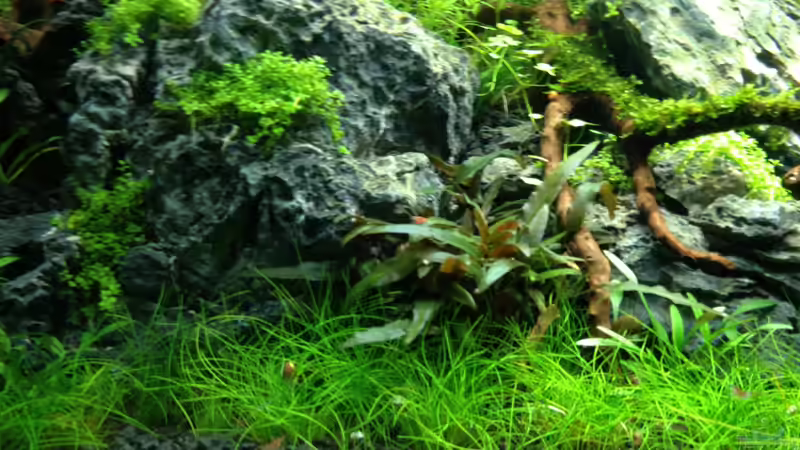 05.09.2013 von Walde (18)