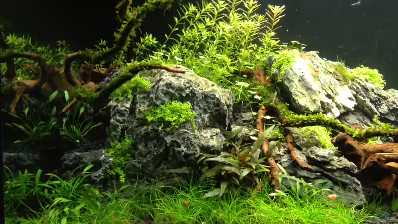 05.09.2013 von Walde (20)