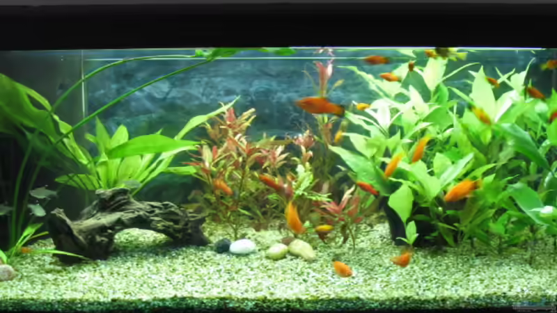 05.10.08 von Frank (4)