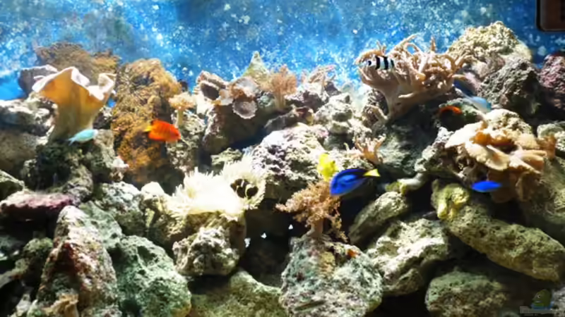 05.10.2007 von Katja Graßer (3)