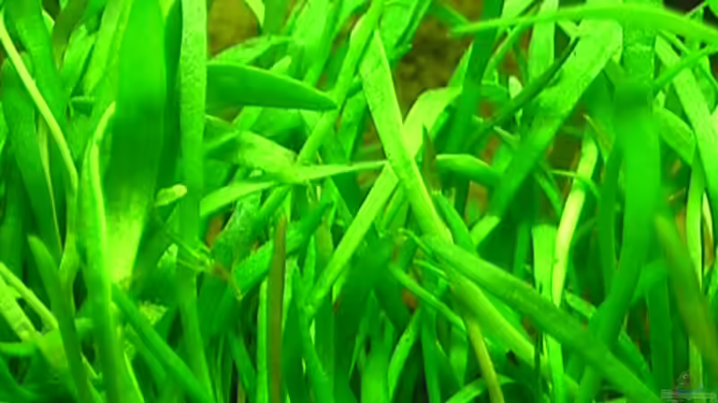 05.10.2010 von *Lucie* (23)