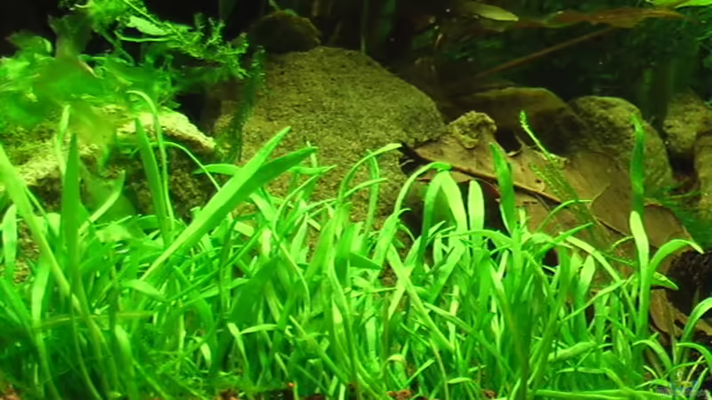 05.10.2010 von *Lucie* (24)