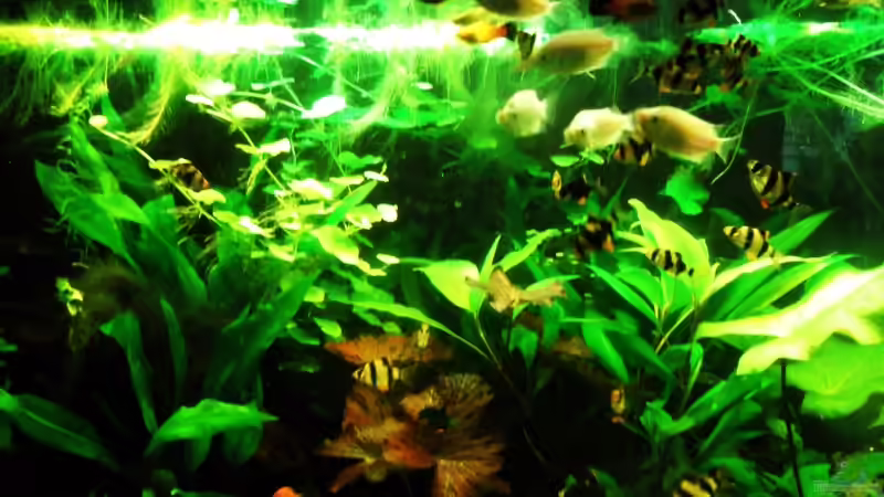 05.11. von Babsi Aud (13)