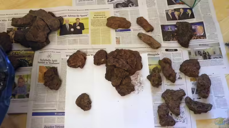 05.11.2010 - So fing alles an von bergfrau (18)