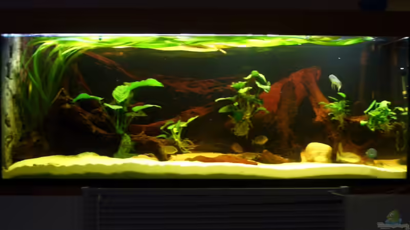 05.12.09 von Knorpelfisch (10)