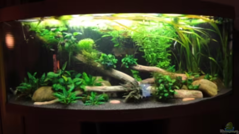 05.12.11 von Heiko Stracke (11)