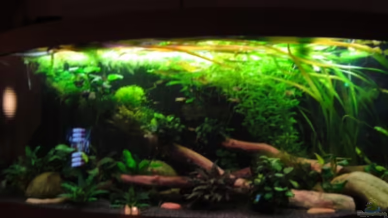 05.12.11 von Heiko Stracke (13)