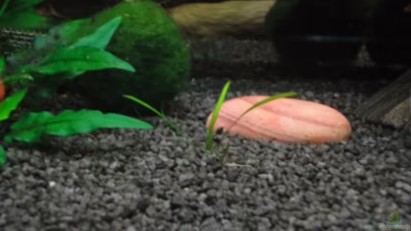 05.12.11 von Heiko Stracke (45)