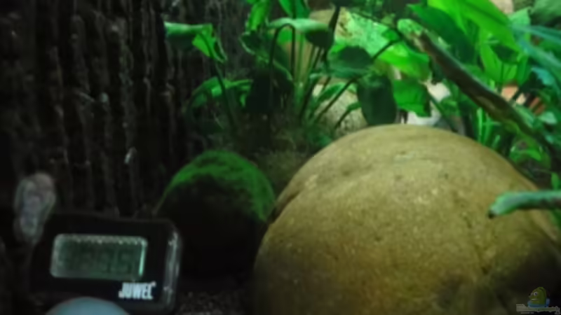 05.12.11 von Heiko Stracke (46)