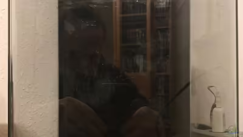 05.12.2019 von Frank T. (2)