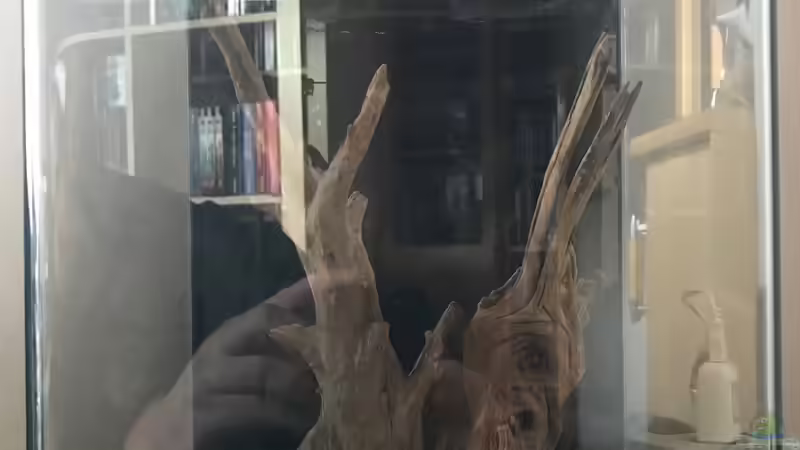 05.12.2019 von Frank T. (3)