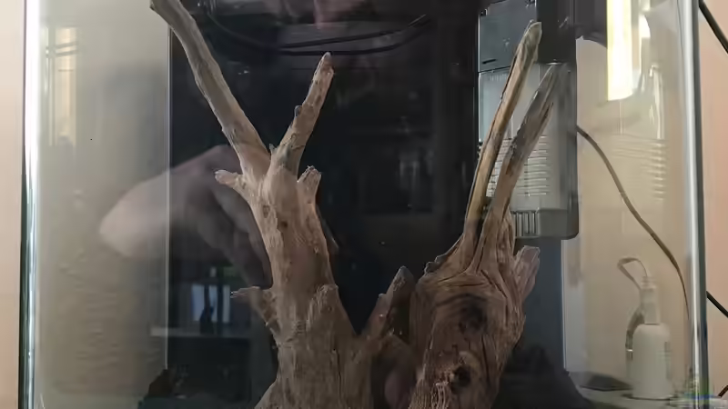 05.12.2019 von Frank T. (4)