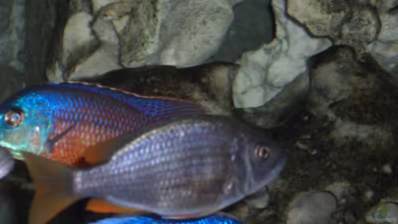 05.2007 von Stephan Ascher (45)