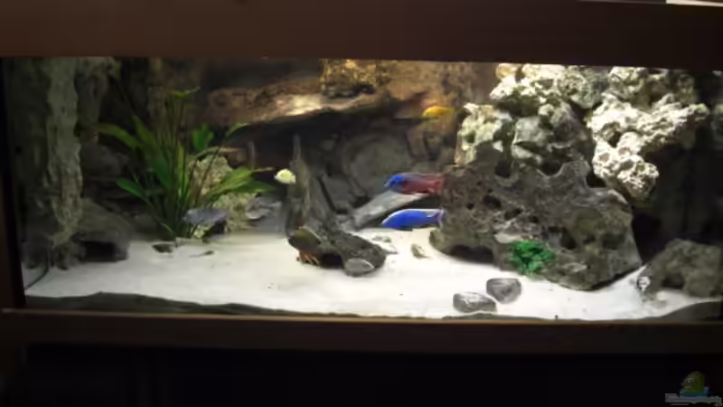 05.2007 von Stephan Ascher (7)