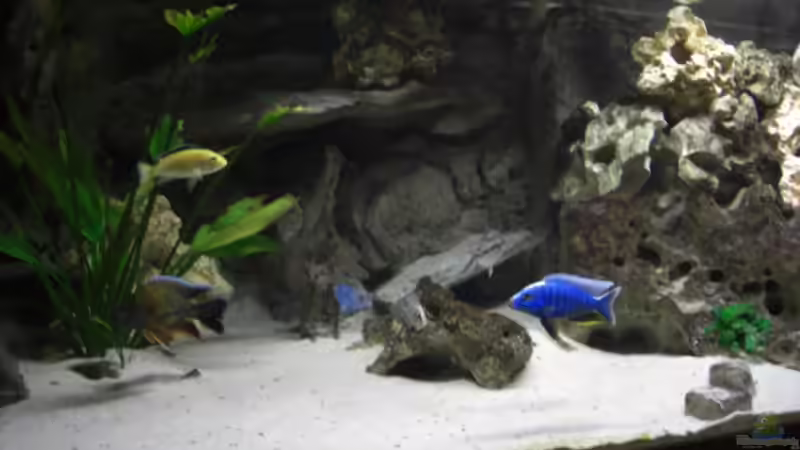 05.2007 von Stephan Ascher (8)