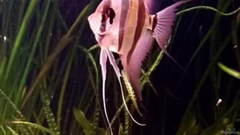 05.2015 von Dani B (20)