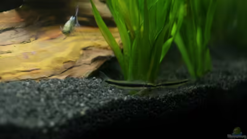 06. Januar 2009 von Fabio Keller (6)