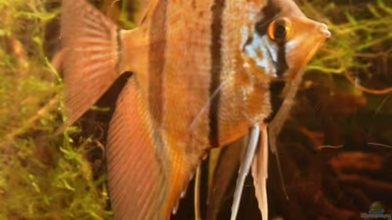 06.01.09 von Daniel_ (23)