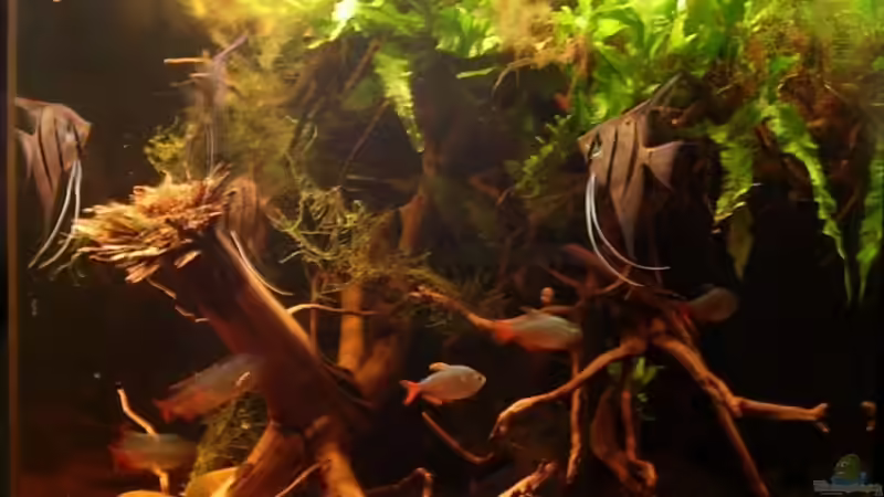 06.01.09 von Daniel_ (8)