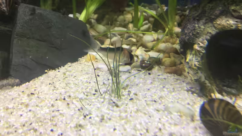 06.01.16 von .Andreas. (112)