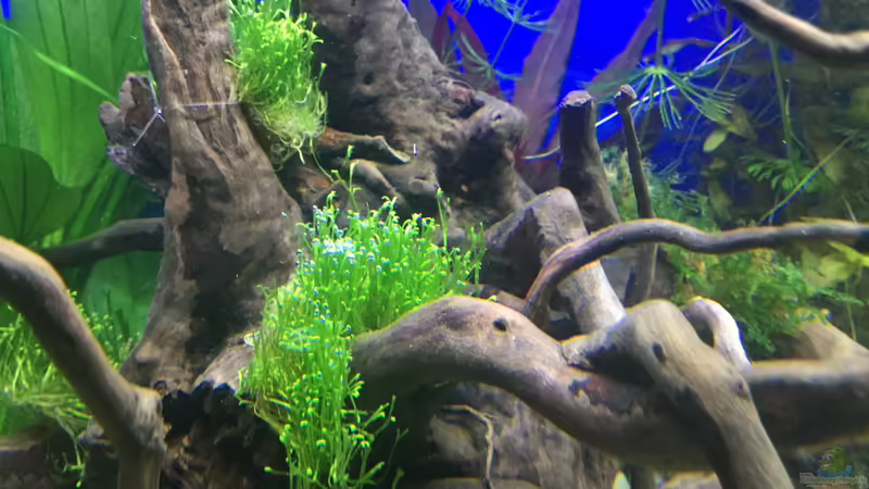 06.01.16 von .Andreas. (30)