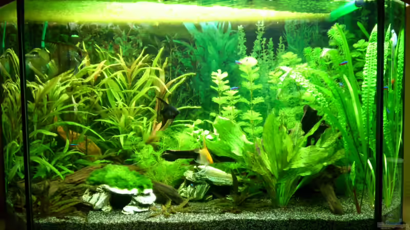 06.01.2013 von Stephan Groß (5)