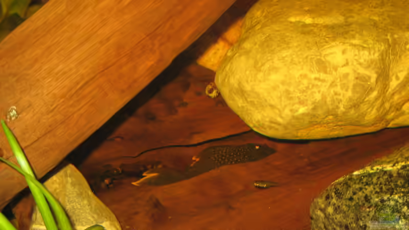 06.01.2014 l 200 hinfin von der Theoretiker (105)