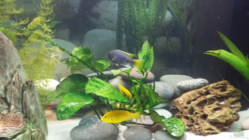 06.01.2014 von benjamin (21)