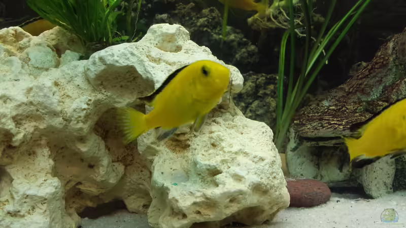 06.01.2014 von benjamin (23)