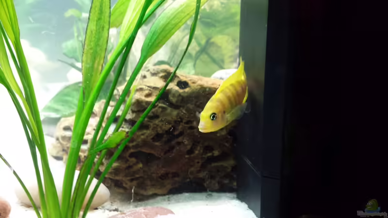 06.01.2014 von benjamin (24)