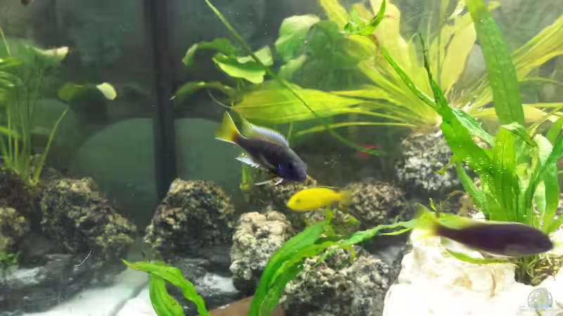 06.01.2014 von benjamin (25)