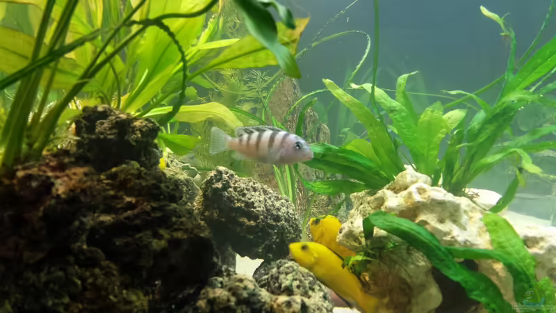 06.01.2014 von benjamin (26)