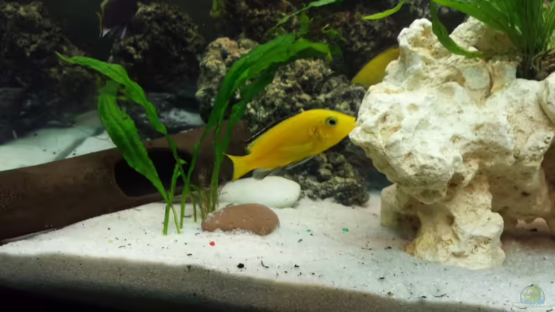 06.01.2014 von benjamin (27)