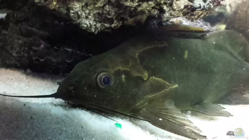 06.01.2014 von benjamin (29)