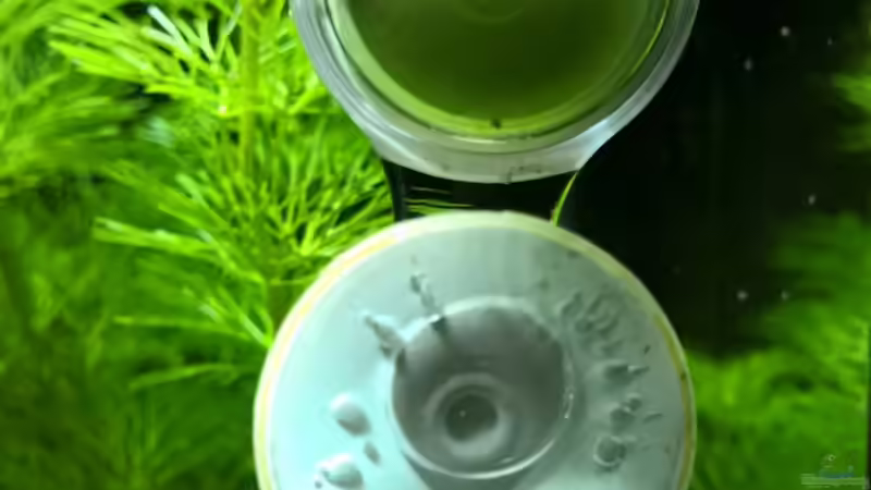 06.01.2016 von Nano73 (2)