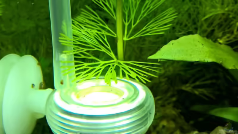 06.01.2016 von Nano73 (3)