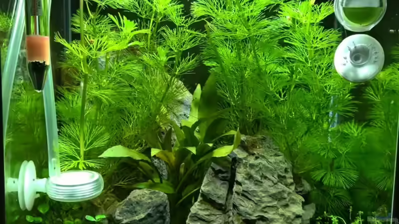 06.01.2016 von Nano73 (5)