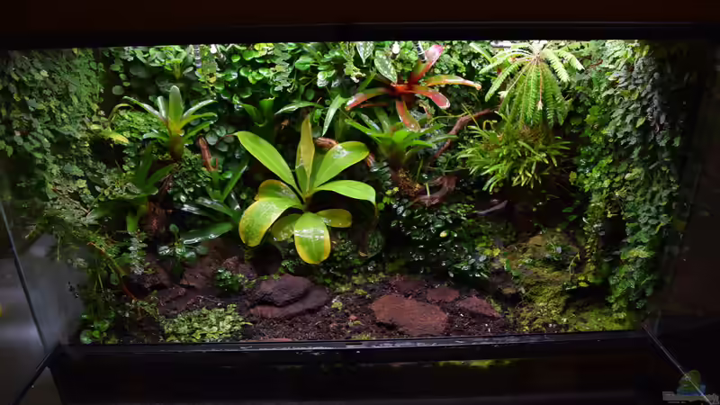 06.01.2017 von Junglist (54)