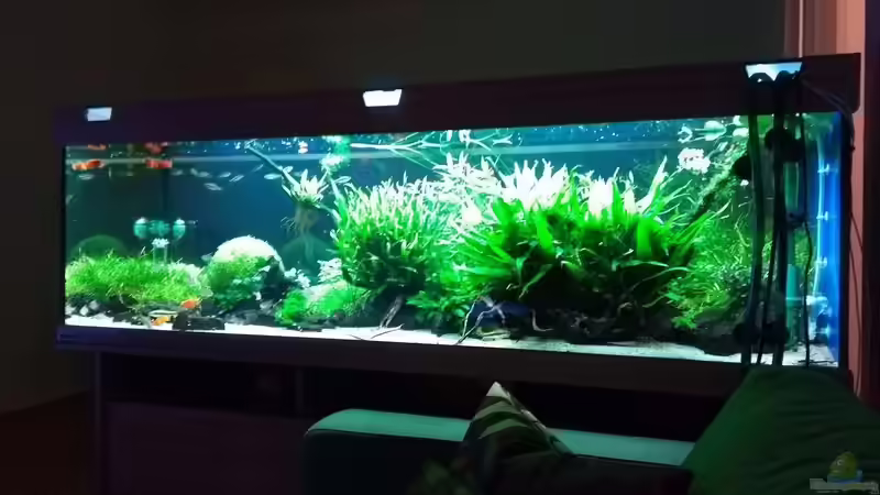 06.01.2018 von C-NA (8)