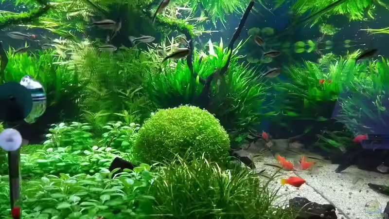 06.01.2018 von C-NA (9)