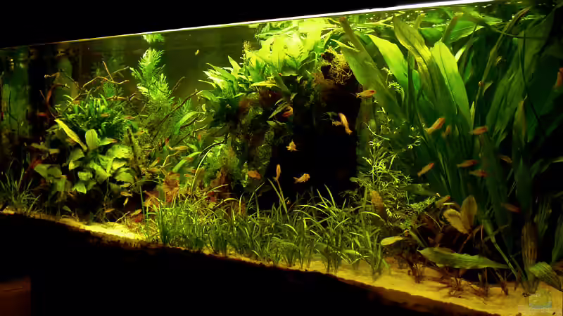 06-02-10 von Mario74 (12)