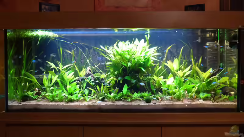 06.02.14 von Dieter (12)