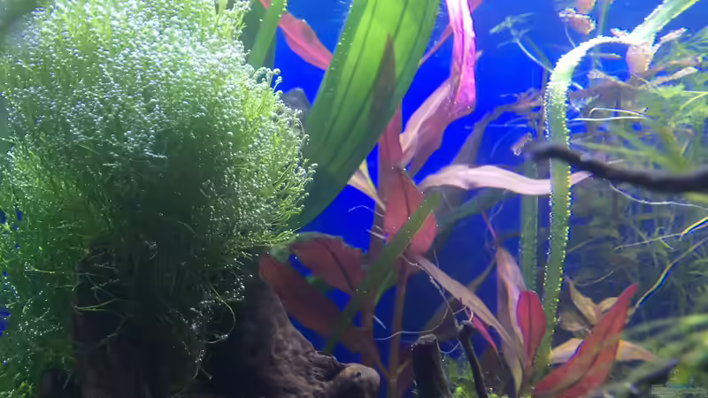 06.02.16 von .Andreas. (46)