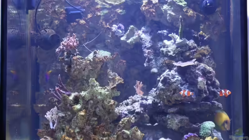 06.02.2009 von Stephan Ascher (13)