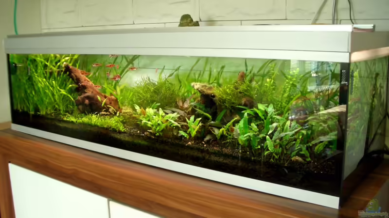 06.02.2011 von navigator1 (1)