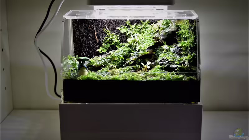 06.02.2021 von Junglist (3)