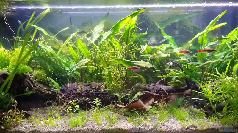 06.02.21 von Stephy (1)