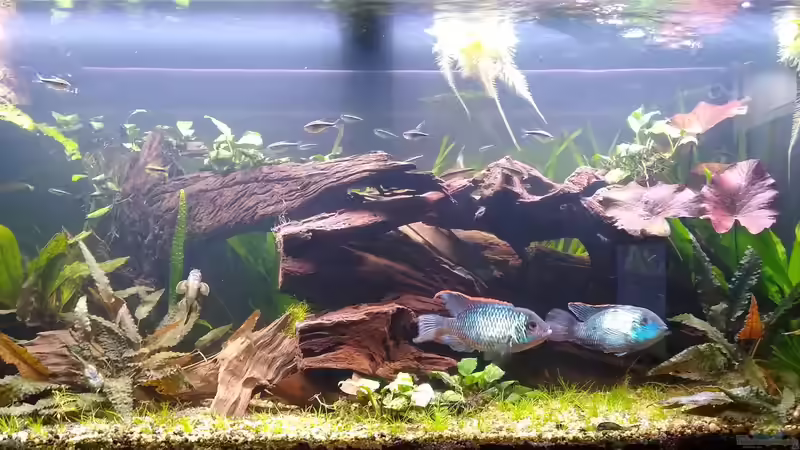 06.02.21 von Stephy (15)